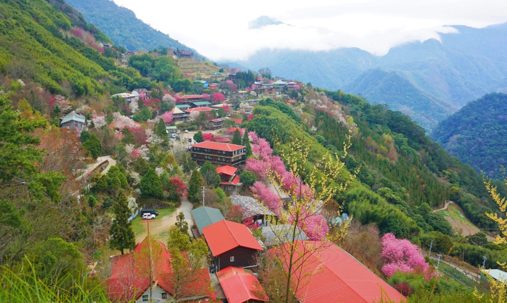 包車旅遊、包車旅拍
