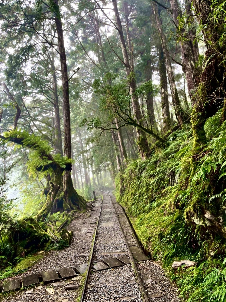 明池太平山二日遊