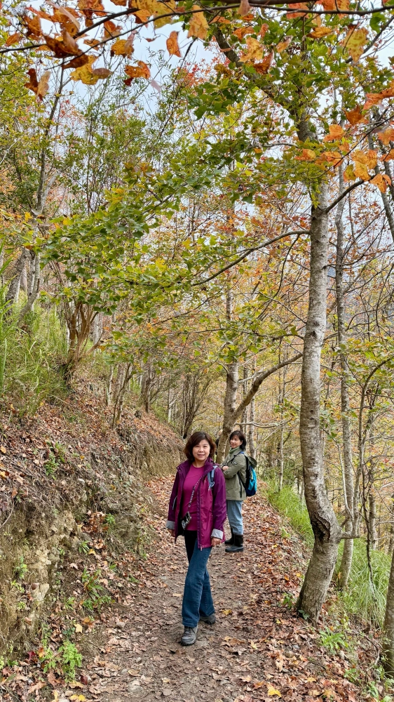包車旅遊、包車旅拍