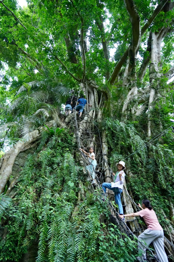 台東鸞山部落森林博物館