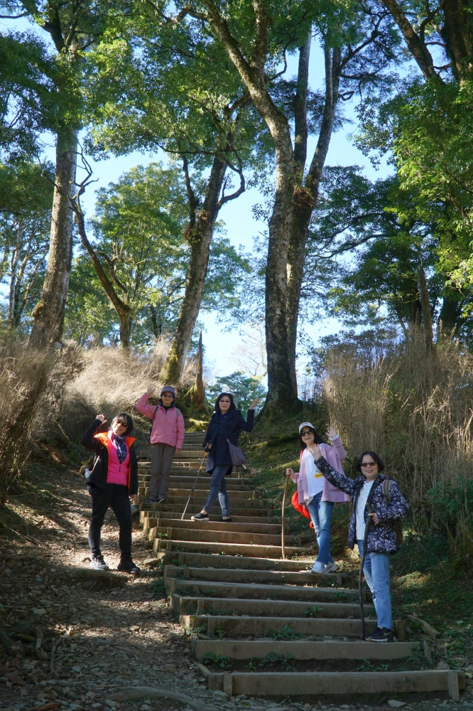 ❤️『新竹』雪霸國家公園~觀霧森林遊樂區二日遊