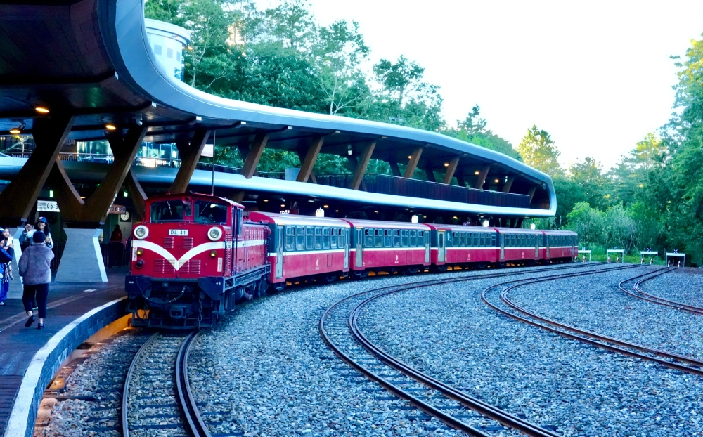 ❤️阿里山神木群、特富野古道三日遊