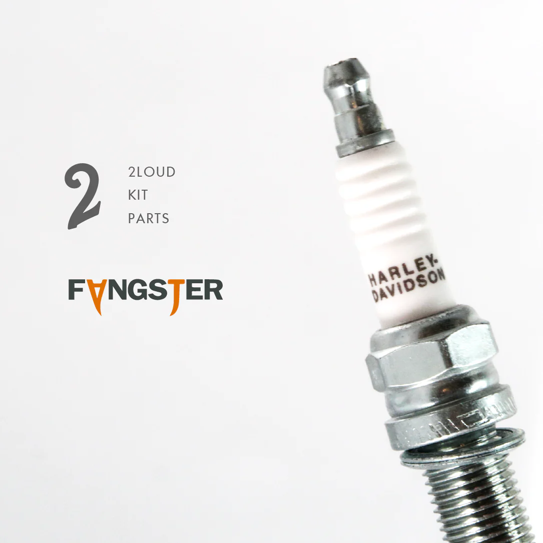 FANGSTER Harley OEM Spark Plug