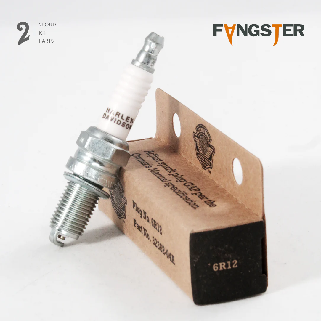 FANGSTER Harley OEM Spark Plug