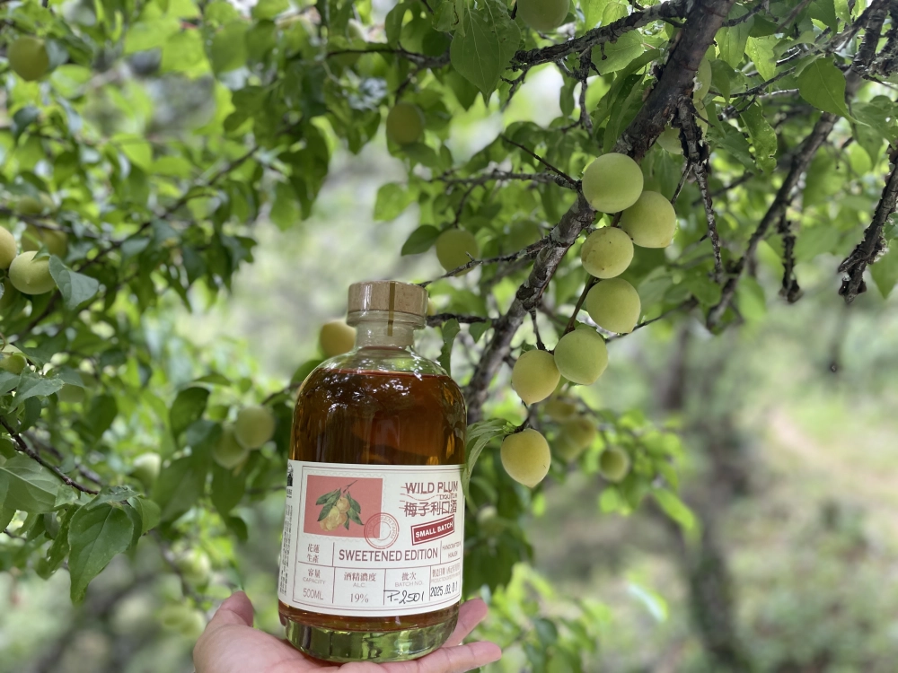 梅子利口酒 WILD PLUM LIQUEUR