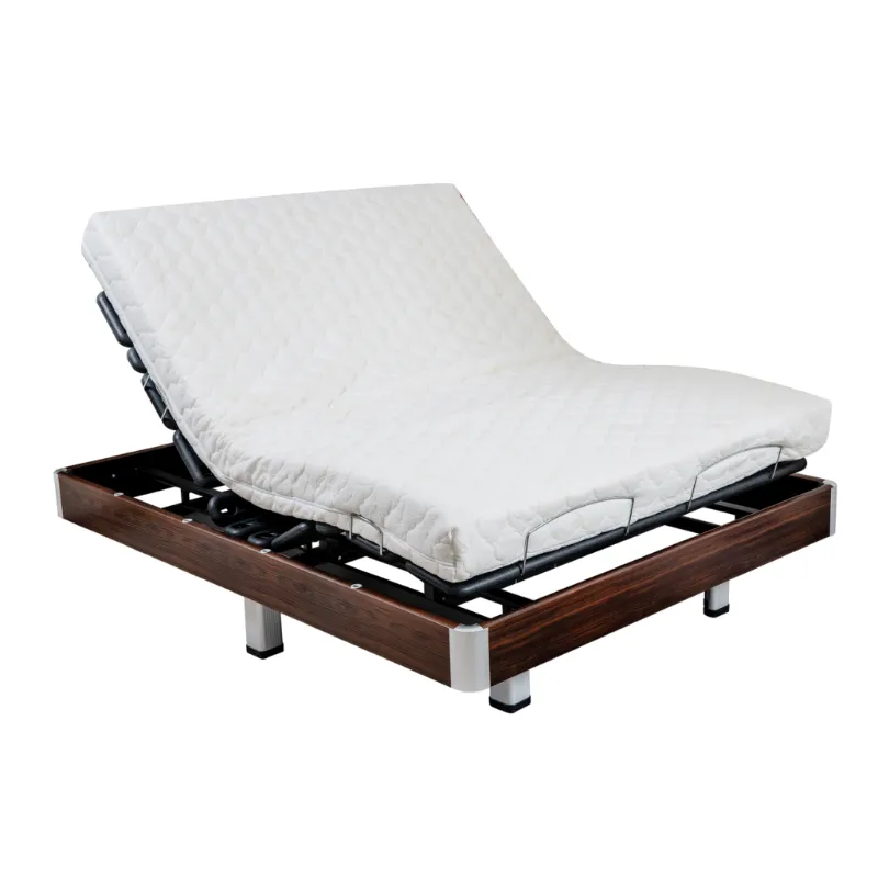 GM-09D1 Multifunctional Electric Double Bed for Home Use