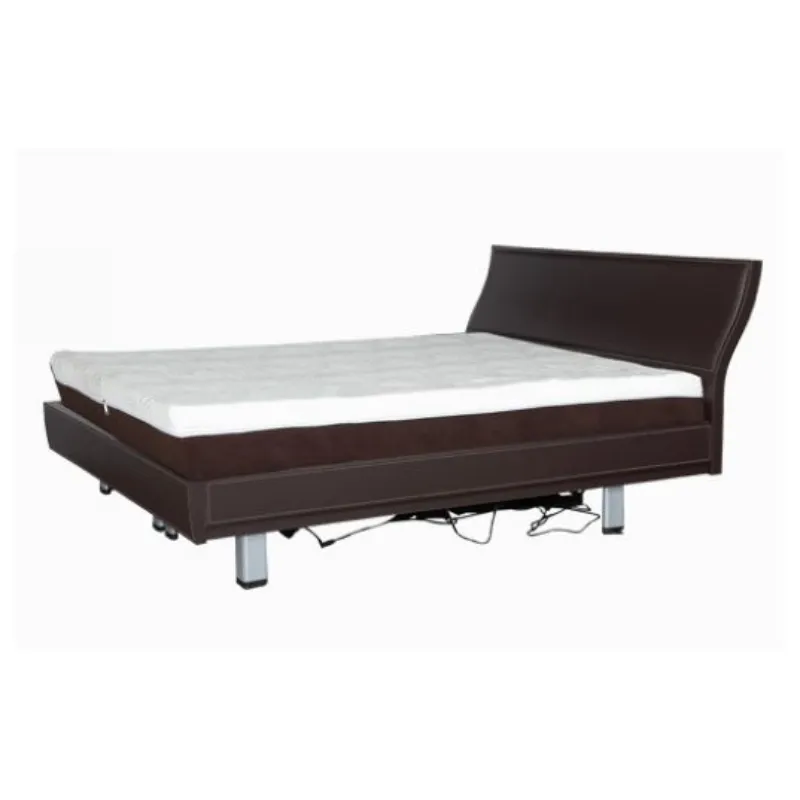 GM-12D1 European Style Electric Double Bed