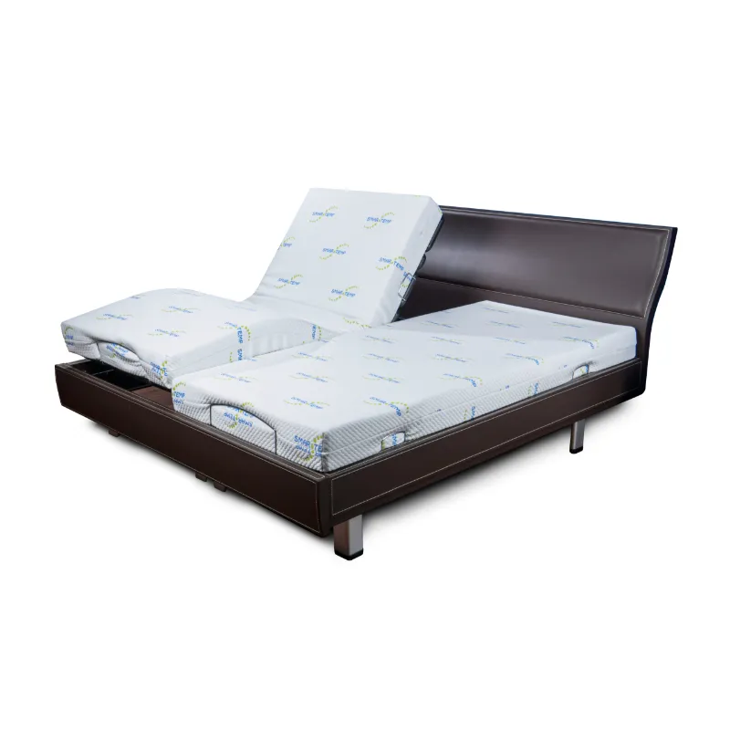 GM-12D2 European Style Electric Double Bed