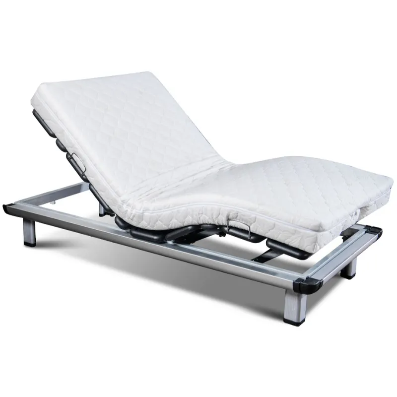 GM01S2 Multifunctional Electric Bed for Home Use