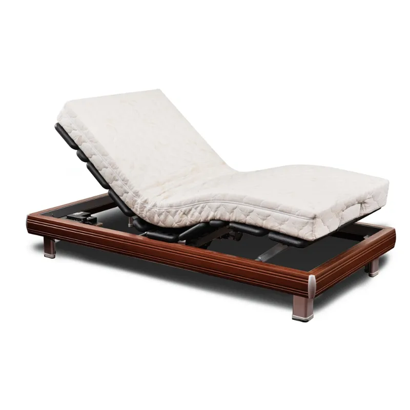 GM06S Multifunctional Electric Bed for Home Use