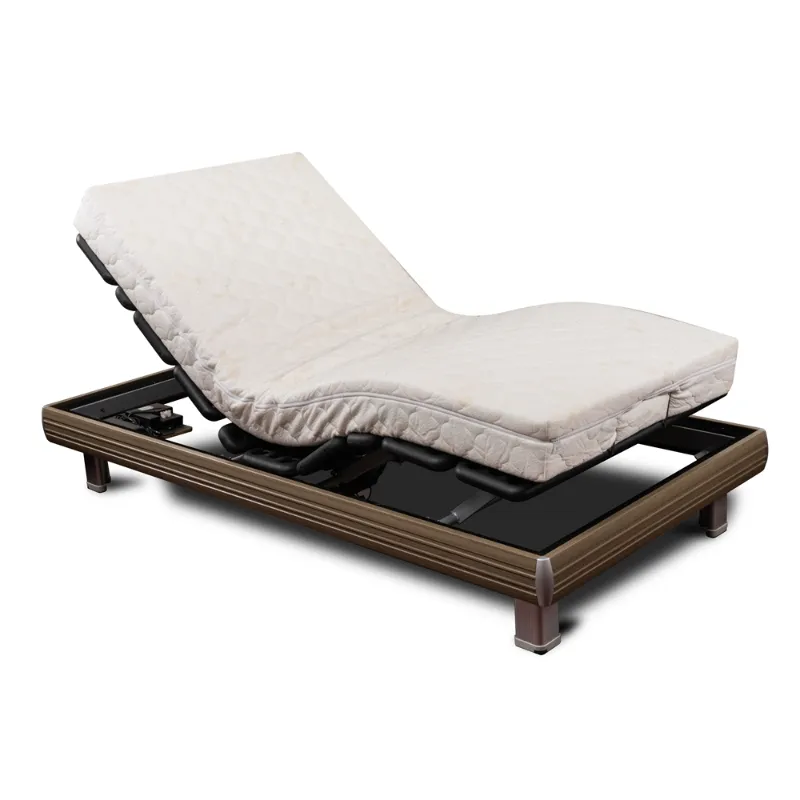 GM06S2 Multifunctional Electric Bed for Home Use