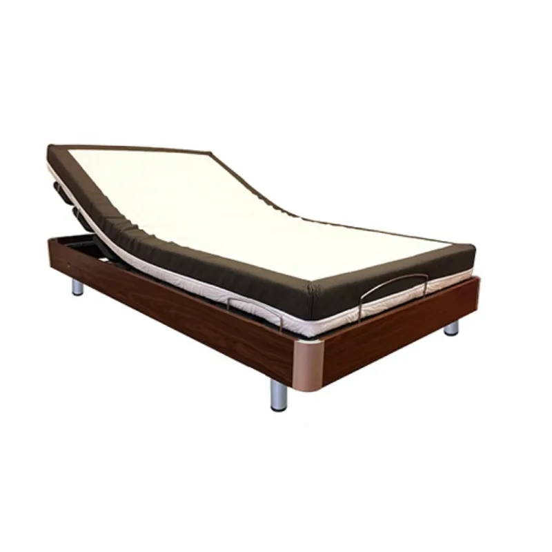 GM07S Multifunctional Electric Bed for Home Use