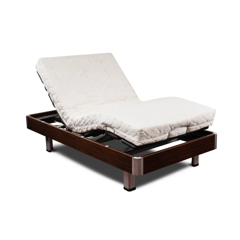 GM09S Multifunctional Electric Bed for Home Use