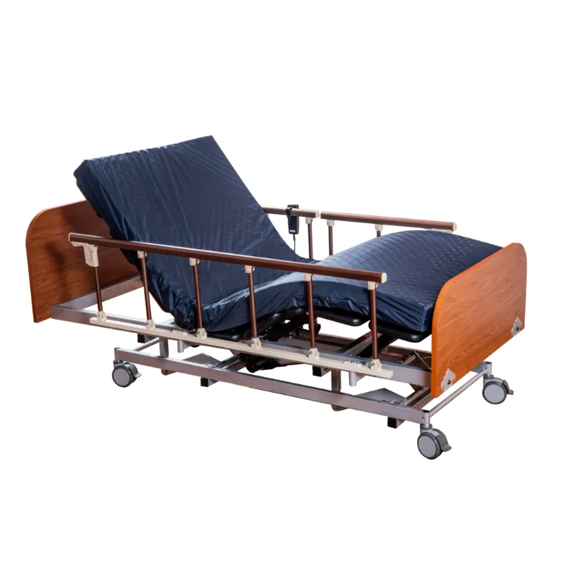GM10S Multifunctional Electric Bed with Three Motors