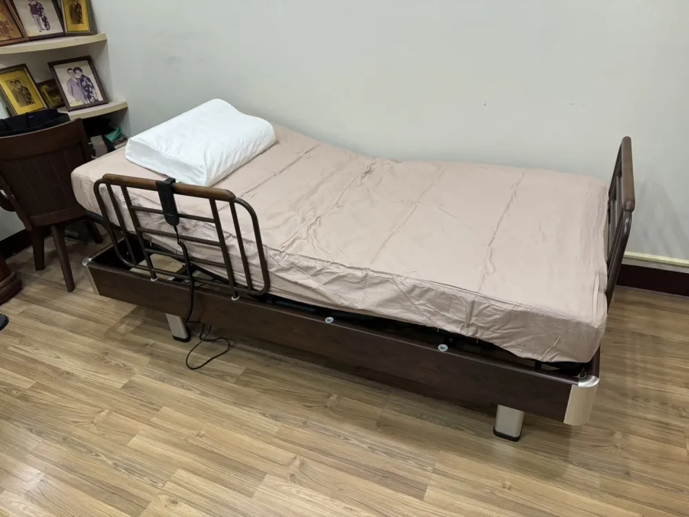 GM-09S Home-use dual-motor electric bed (single bed)