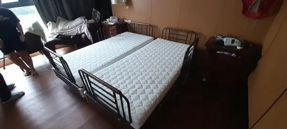 GM10S1 Home three-motor electric bed
