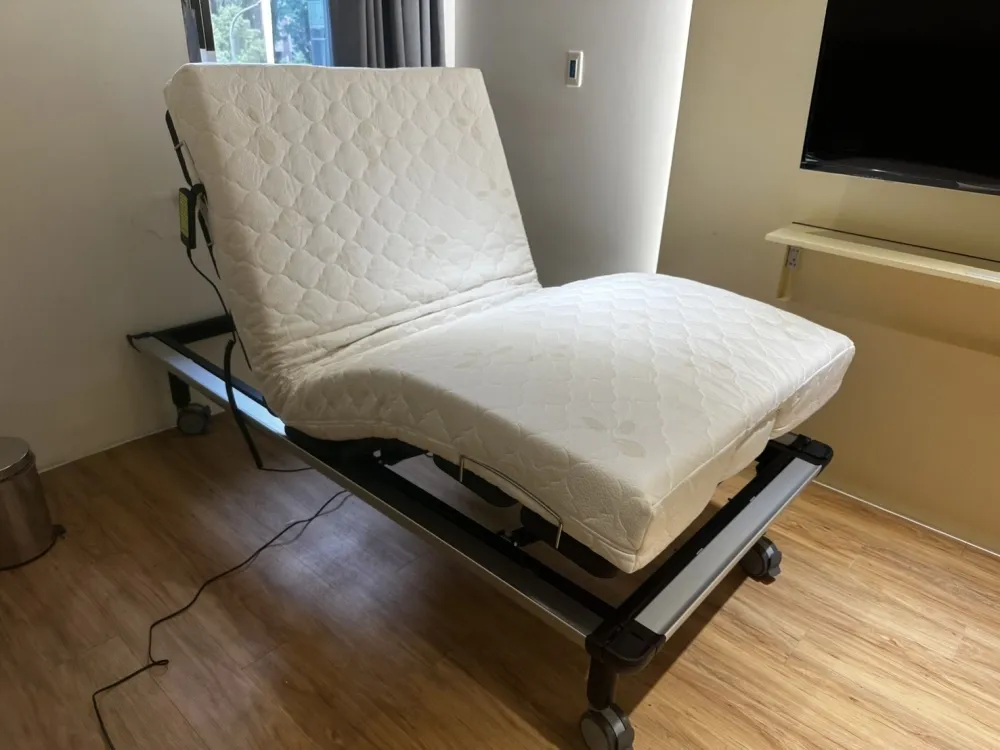 GM-01S2 Home-use dual-motor electric bed (single bed)