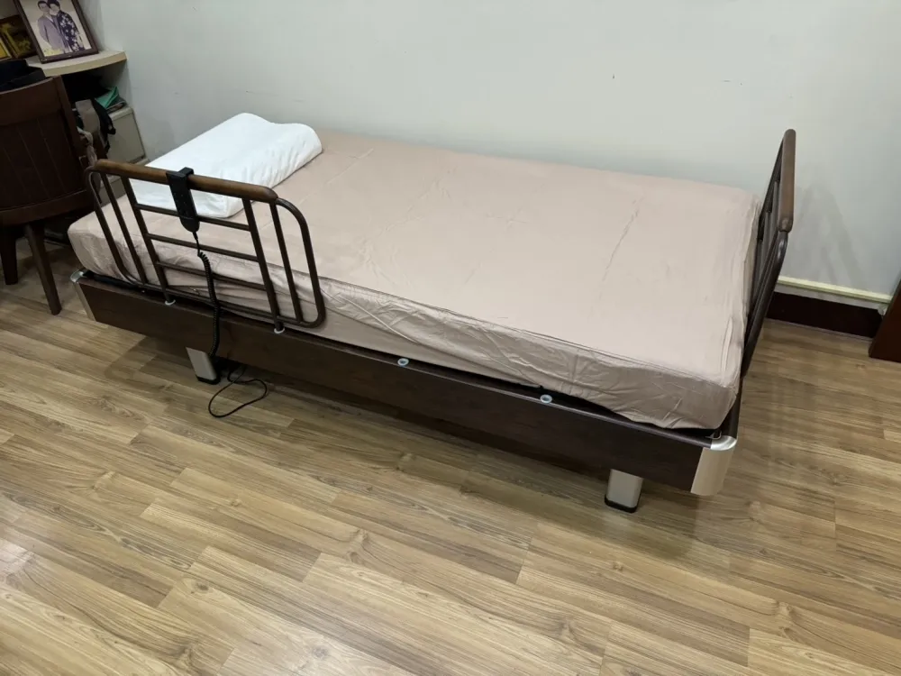 GM-09S Home-use dual-motor electric bed (single bed)