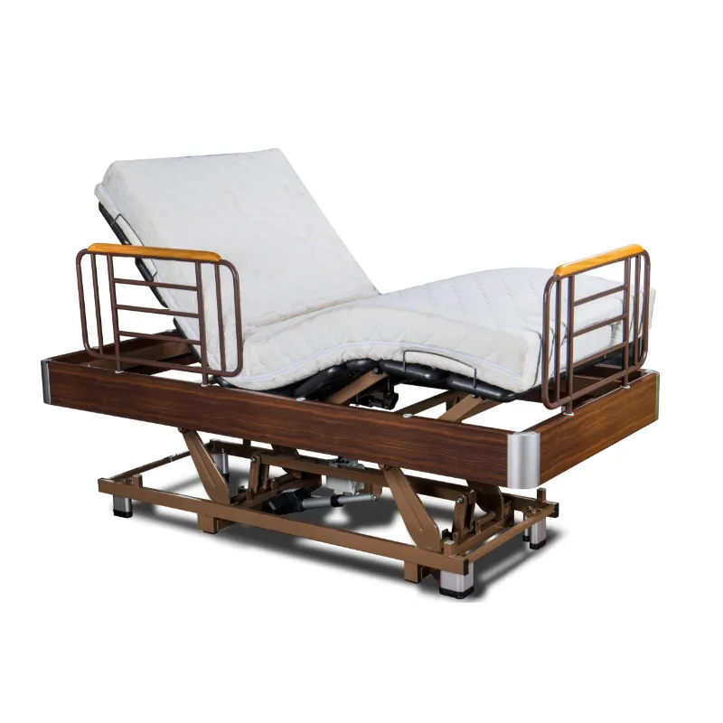 GM10S1 Multifunctional Electric Bed with Three Motors (Low Bed Type)