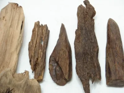 Is agarwood only divided into sinking and non-sinking types? (Analysis of different agarwood materials)