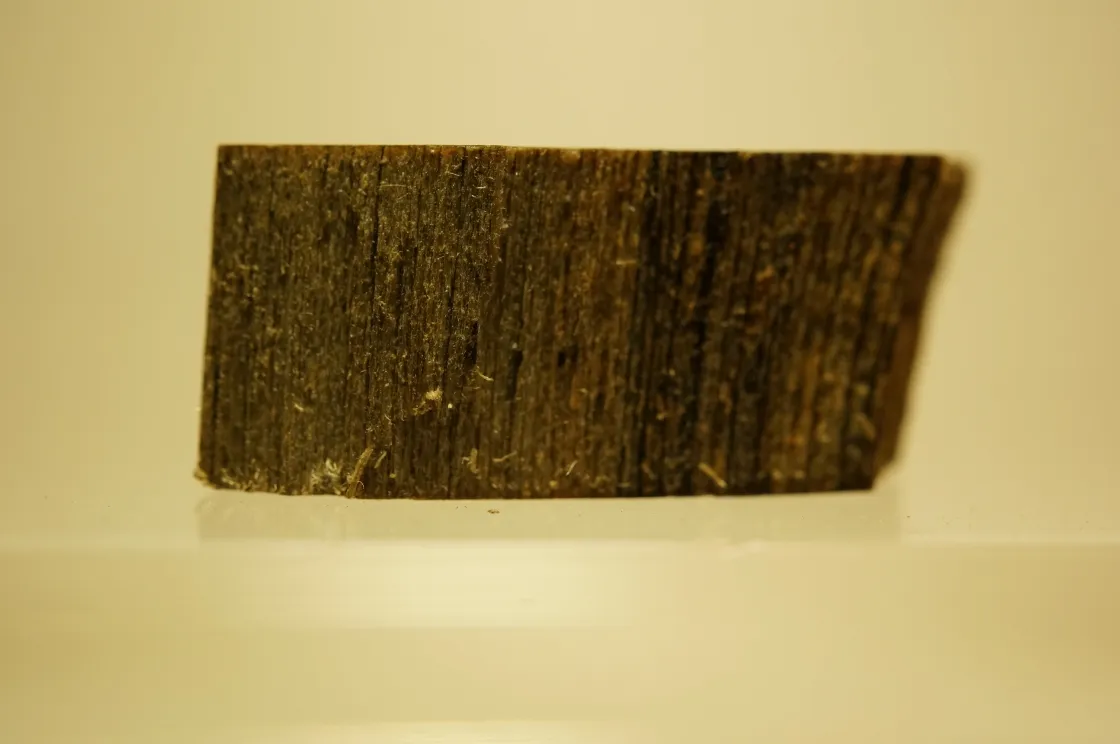 Stone sedimentary deposits. Compressed sedimentary deposits. Dense sedimentary deposits. Research.