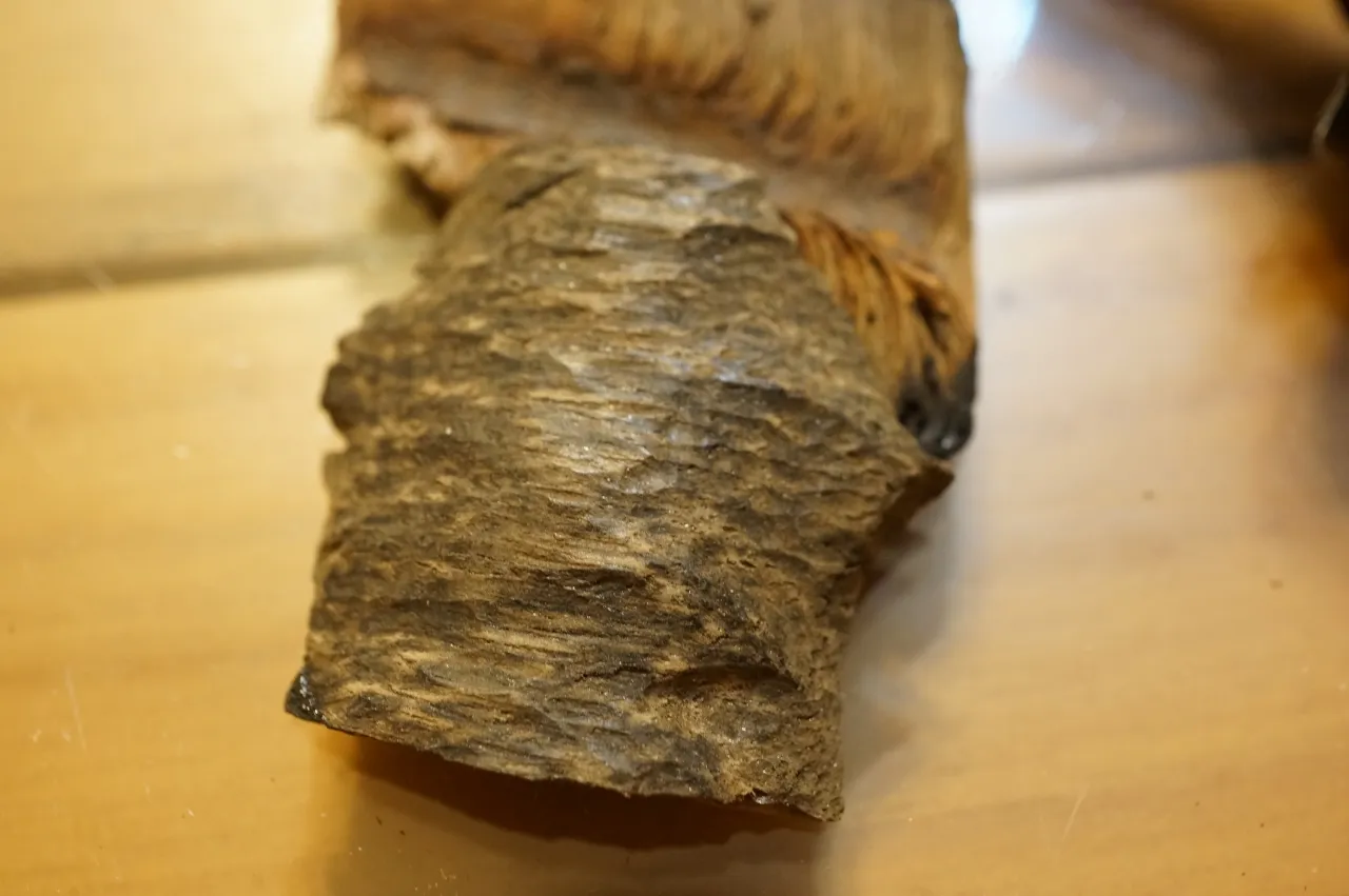Vietnam's artillery shells sank