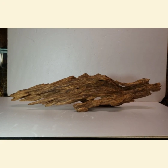 1125g of East Malaysian driftwood