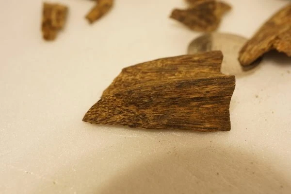 Vietnamese Hue agarwood slices