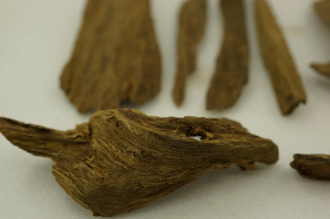 Papua agarwood slices