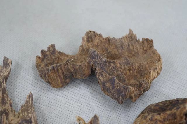 Vietnamese Hoi An Old Shell Agarwood per gram