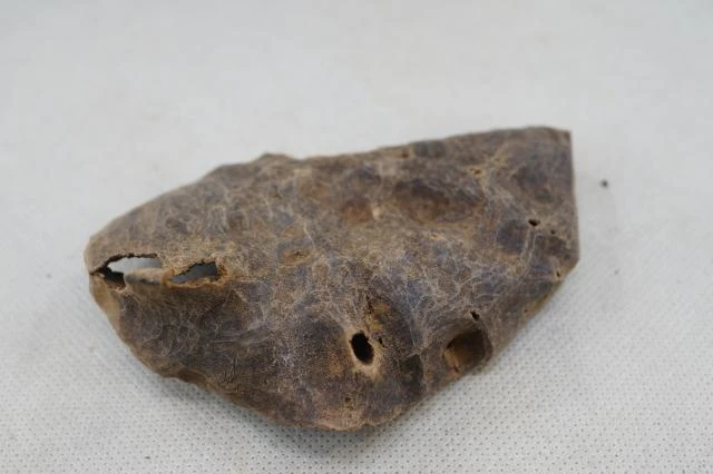 Old Huian Thick Shell 25.48g