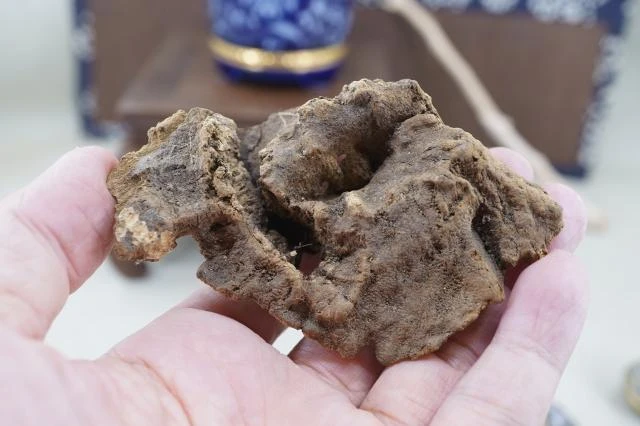 9.63g of Hong Kong agarwood