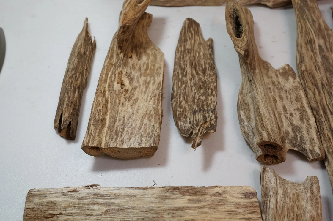 Malaysian Agarwood