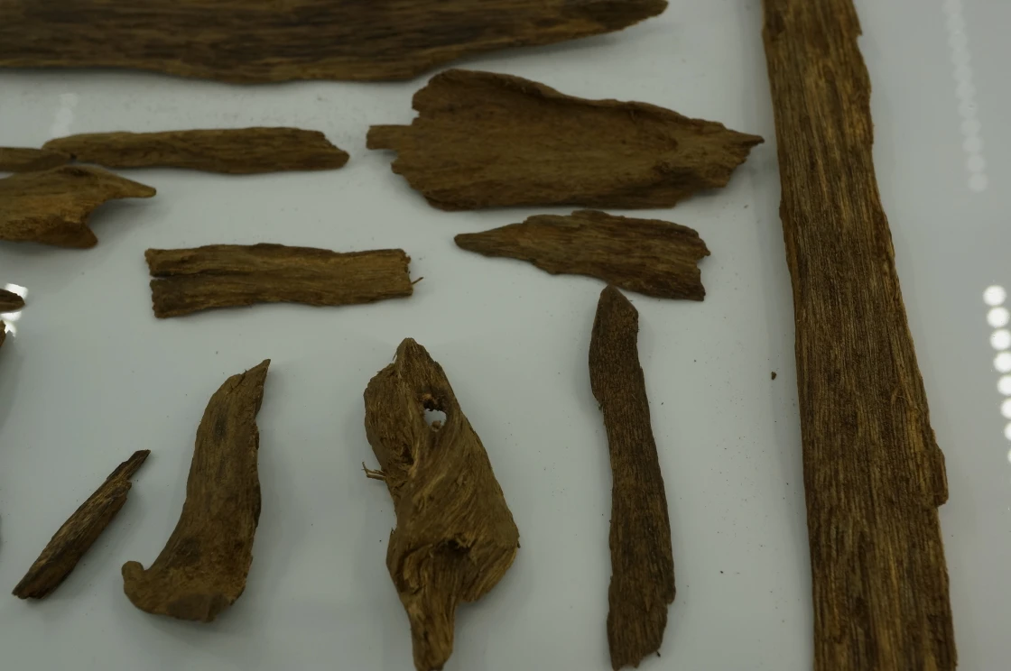 Papua agarwood slices