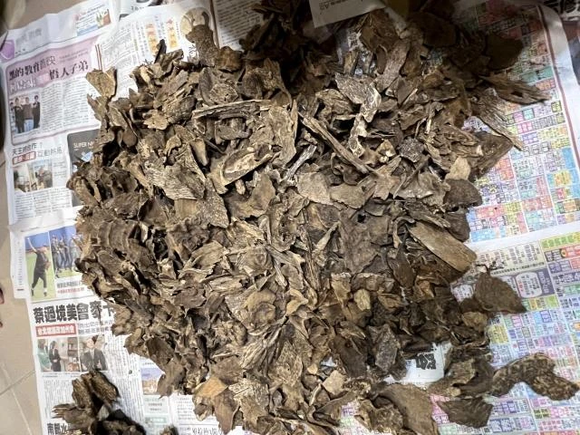Wild Hong Kong Agarwood Pieces