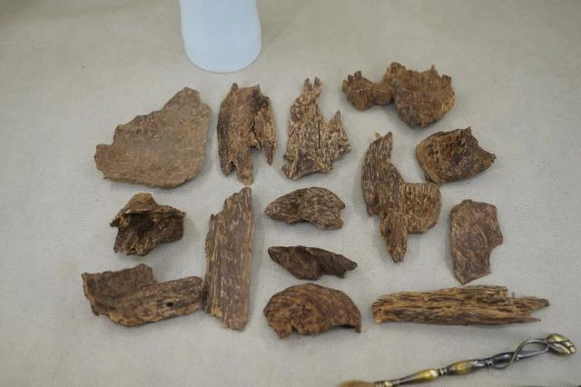 Vietnamese Hoi An Old Shell Agarwood per gram