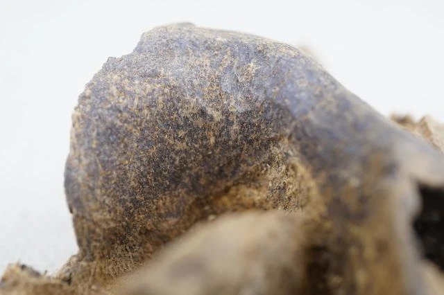 9.63g of Hong Kong agarwood