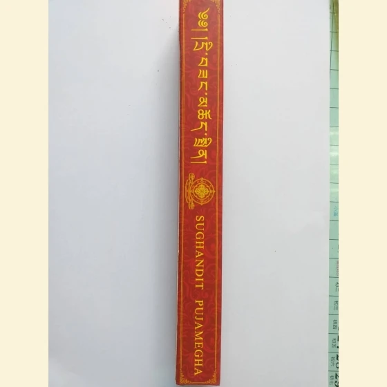 Eight-Nation Obstacle-Removing Incense Sticks. 23-25 ​​sticks per box. Weight: 70 grams. 7 inches.