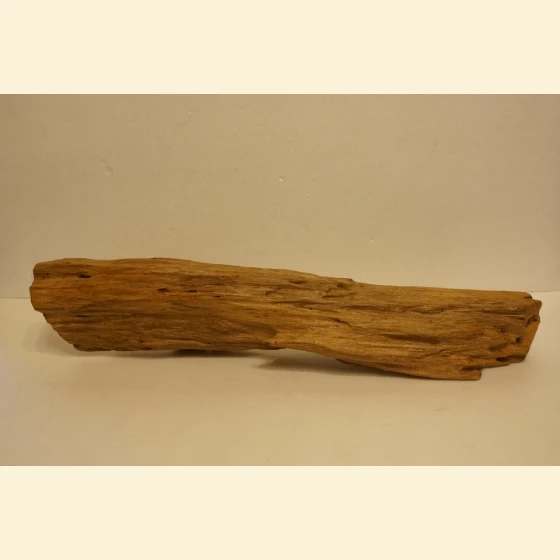 Jayapula Semi-submerged Wonder Wood
