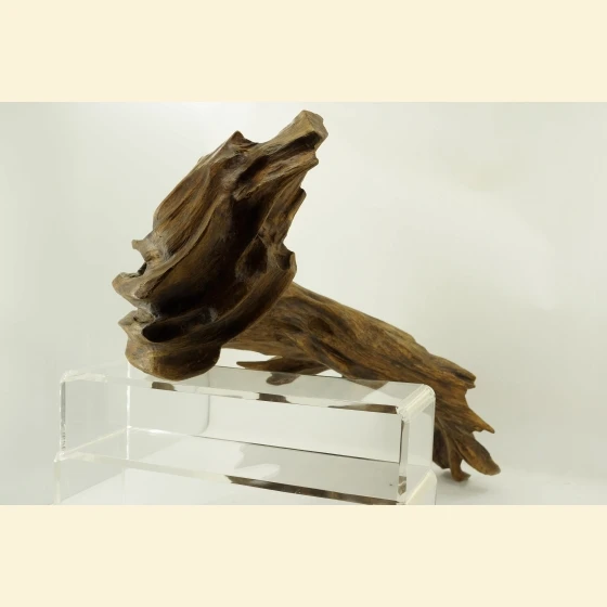 Jayapula driftwood ~ 920g