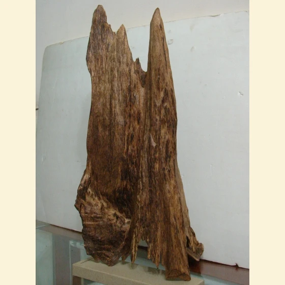 Large Bodhisattva amulet