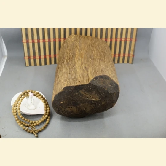 Early Kalimantan semi-submerged 2995g