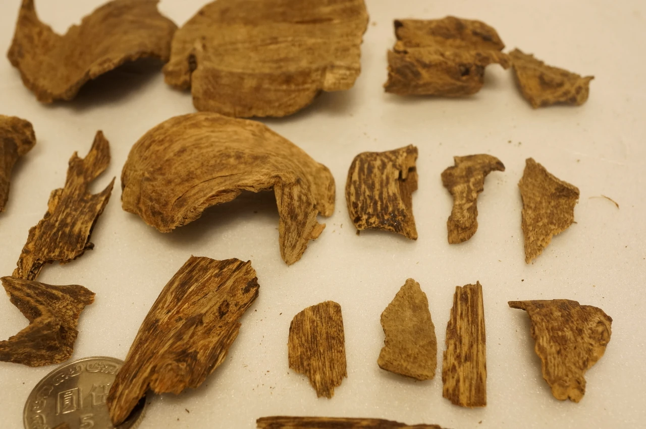 Vietnamese Hue agarwood slices