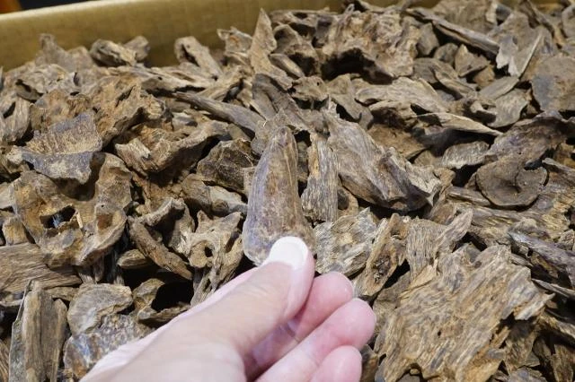 Vietnamese Hoi An Old Shell Agarwood per gram