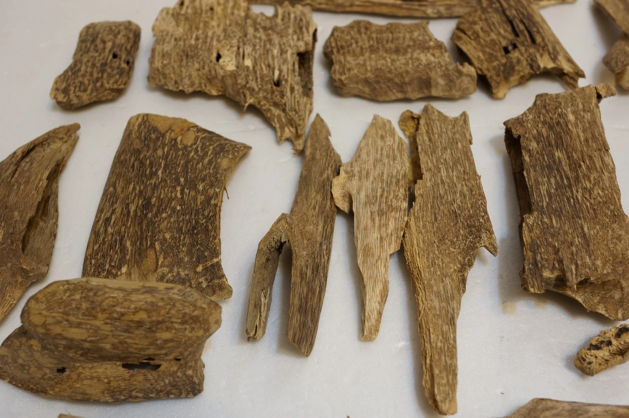 Nha Trang peel (raw) per gram