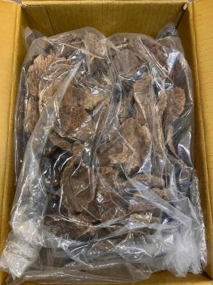 Thick-shelled fruit from Lao Hue An, Vietnam (per gram)