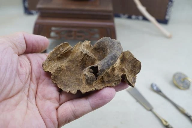 9.63g of Hong Kong agarwood