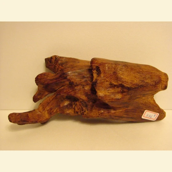 Early Ambon agarwood from Indonesia