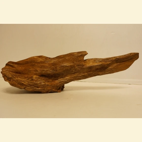 Rhinoceros horn from Hoi An, Vietnam, sinks and floats.