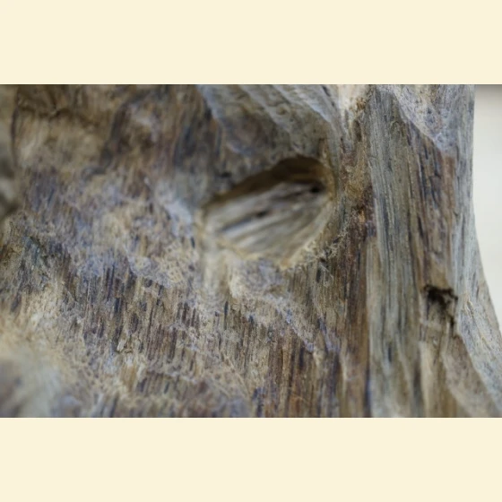 Bodhisattva Agarwood with Unique Flavor 122.9g